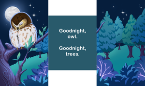 Anthony's Bedtime Story BOARD BOOK