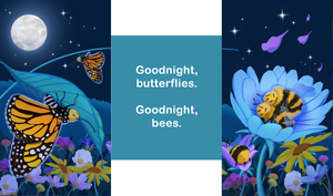 Anthony's Bedtime Story BOARD BOOK
